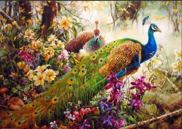 DIY Painting By Numbers - Flashy Peacock  (16"x20" / 40x50cm)