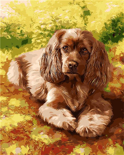 DIY Painting By Numbers - Cavalier King Charles Spaniel (16"x20" / 40x50cm)