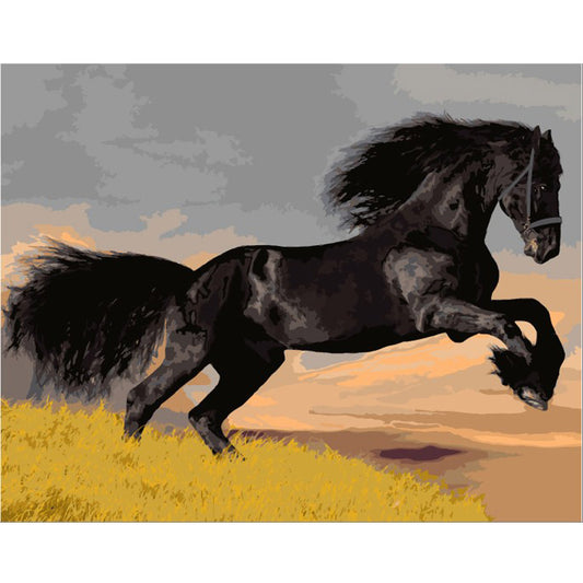 DIY Painting By Numbers - Black Beauty (16"x20" / 40x50cm)