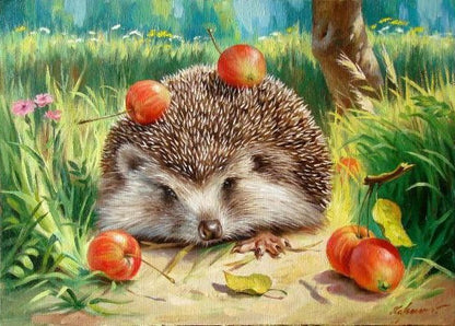 DIY Painting By Numbers - Jolly Hedgehog  (16"x20" / 40x50cm)