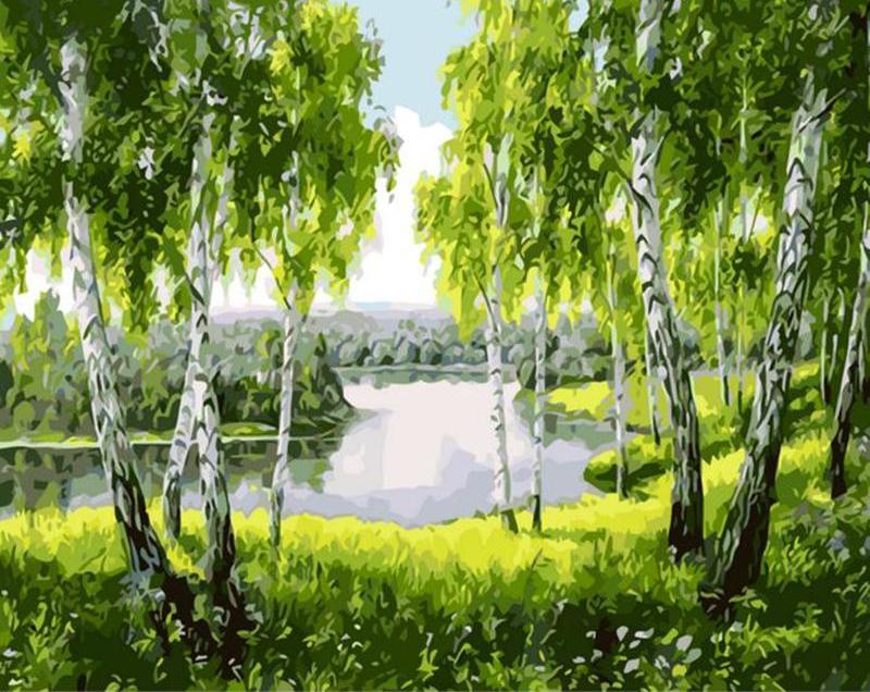 DIY Painting By Numbers - Verdant Forest (16"x20" / 40x50cm)