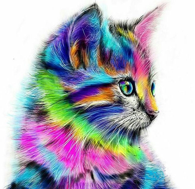 DIY Painting By Numbers - Psychedelic Cat (16"x20" / 40x50cm)