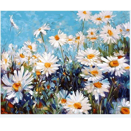 DIY Painting By Numbers - Daisy Asteraceae (16"x20" / 40x50cm)