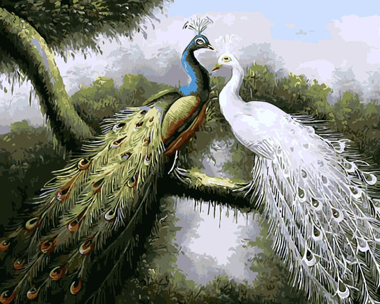 DIY Painting By Numbers - Peafowl (16"x20" / 40x50cm)